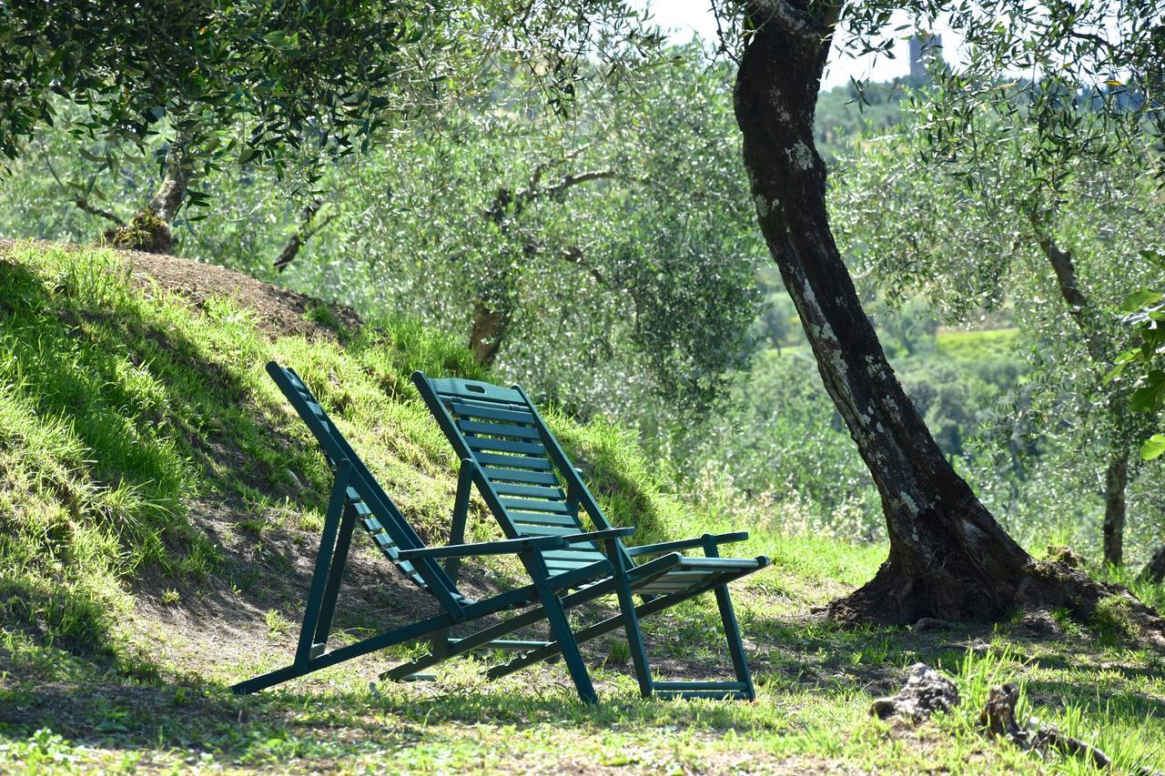 Palazzina Del Chiasso Bed and Breakfast San Martino in Freddana Exteriör bild