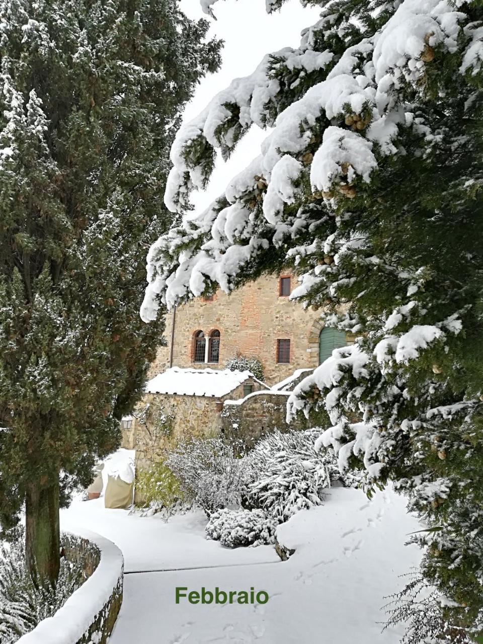 Palazzina Del Chiasso Bed and Breakfast San Martino in Freddana Exteriör bild